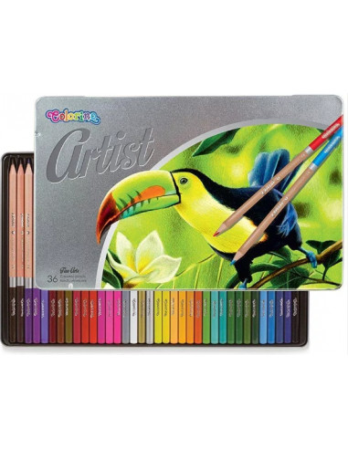 Artist Crayons de couleurs  x36